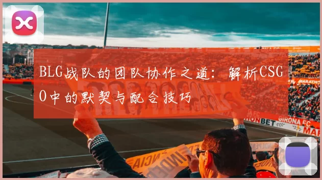 BLG战队的团队协作之道：解析CSGO中的默契与配合技巧