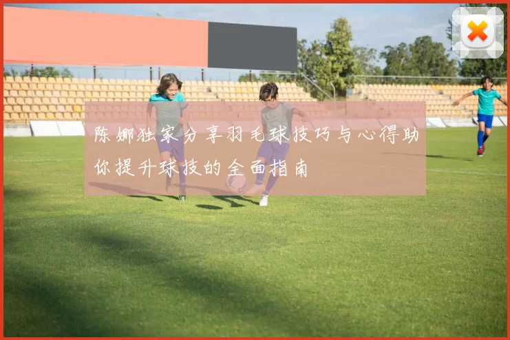 陈娜独家分享羽毛球技巧与心得助你提升球技的全面指南