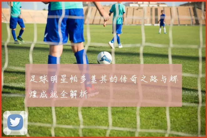足球明星帕多基其的传奇之路与辉煌成就全解析