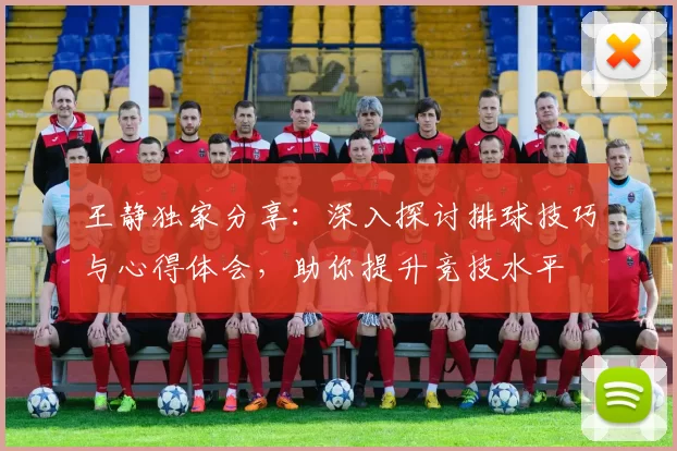 王静独家分享：深入探讨排球技巧与心得体会，助你提升竞技水平
