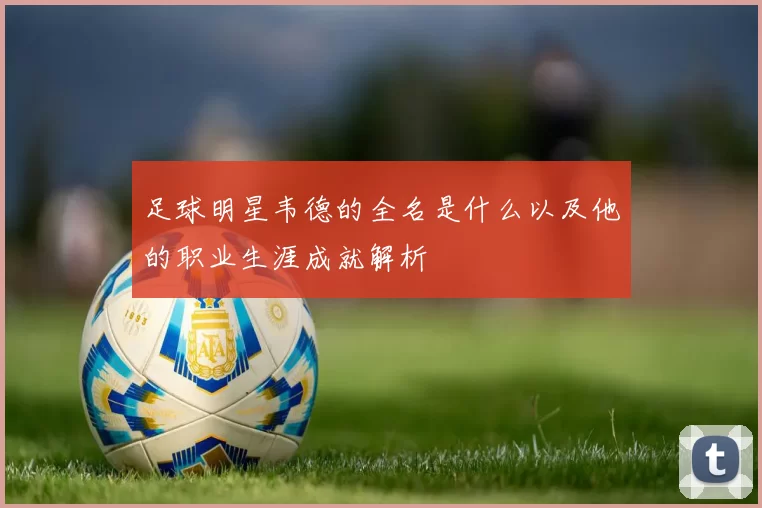 足球明星韦德的全名是什么以及他的职业生涯成就解析