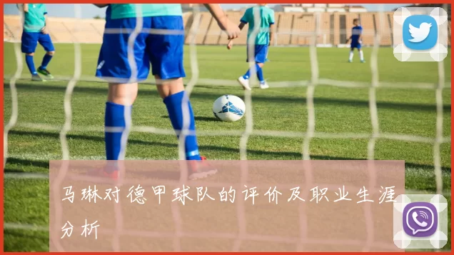 马琳对德甲球队的评价及职业生涯分析