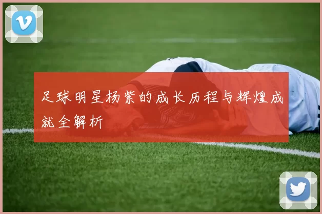 足球明星杨紫的成长历程与辉煌成就全解析