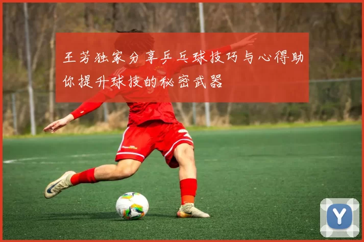 王芳独家分享乒乓球技巧与心得助你提升球技的秘密武器