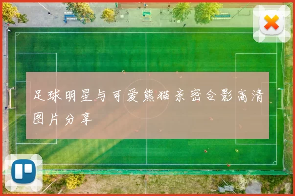 足球明星与可爱熊猫亲密合影高清图片分享