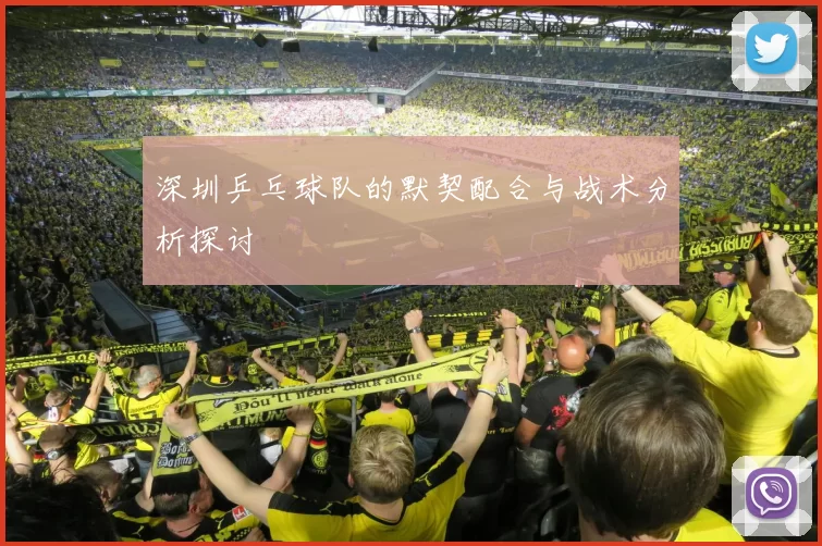 深圳乒乓球队的默契配合与战术分析探讨