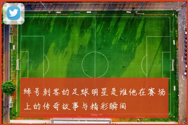 绰号刺客的足球明星是谁他在赛场上的传奇故事与精彩瞬间