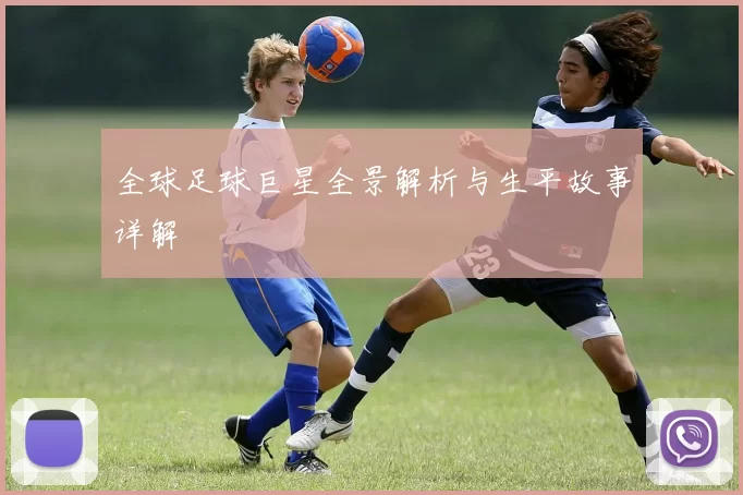 全球足球巨星全景解析与生平故事详解