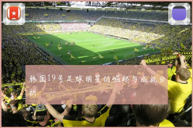 韩国19号足球明星的崛起与成就分析