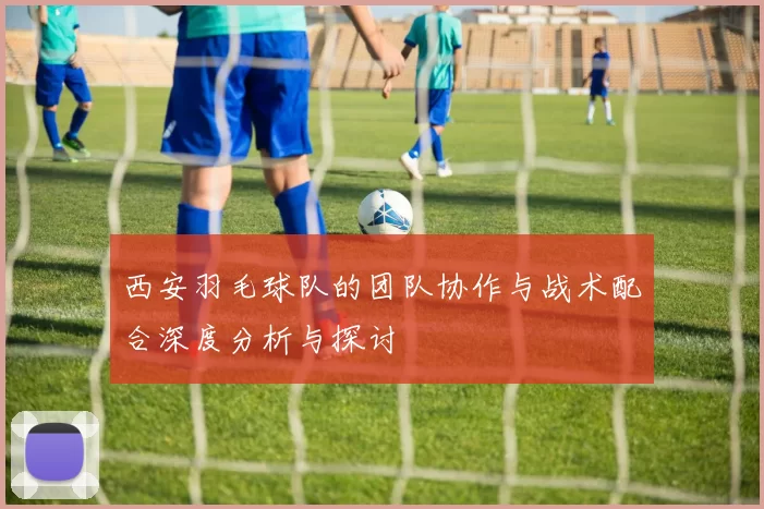 西安羽毛球队的团队协作与战术配合深度分析与探讨