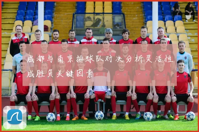 成都与南京排球队对决分析灵活性成胜负关键因素