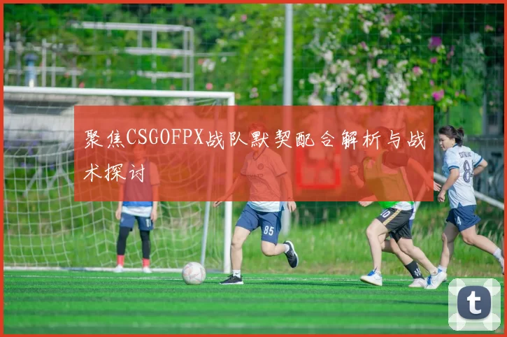 聚焦CSGOFPX战队默契配合解析与战术探讨