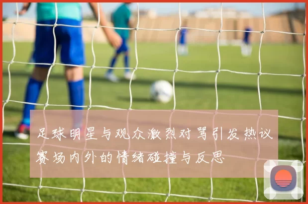 足球明星与观众激烈对骂引发热议赛场内外的情绪碰撞与反思