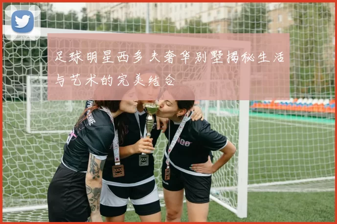 足球明星西多夫奢华别墅揭秘生活与艺术的完美结合