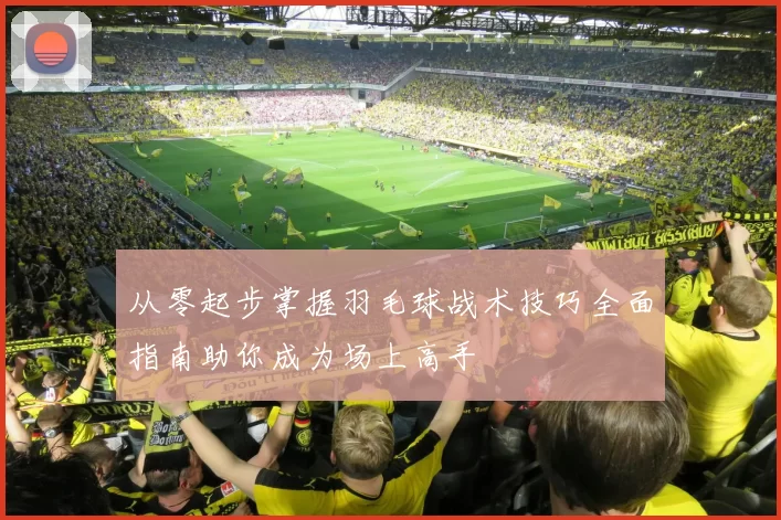 从零起步掌握羽毛球战术技巧全面指南助你成为场上高手