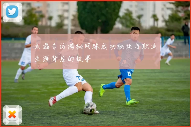刘磊专访揭秘网球成功秘诀与职业生涯背后的故事