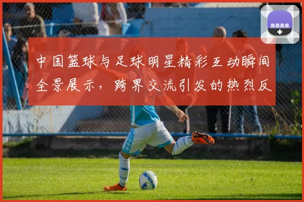 中国篮球与足球明星精彩互动瞬间全景展示，跨界交流引发的热烈反响与共鸣