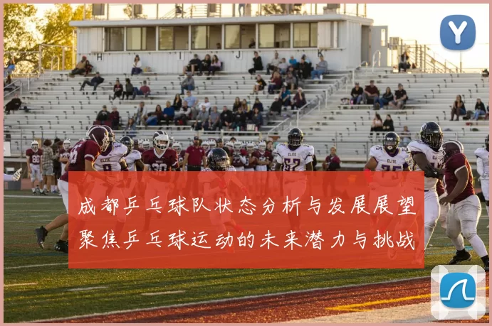 成都乒乓球队状态分析与发展展望聚焦乒乓球运动的未来潜力与挑战