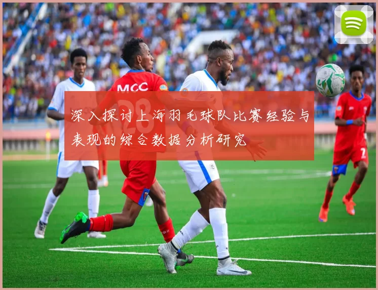 深入探讨上海羽毛球队比赛经验与表现的综合数据分析研究