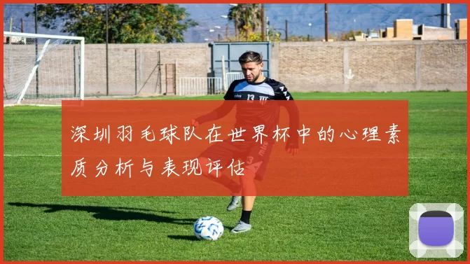 深圳羽毛球队在世界杯中的心理素质分析与表现评估