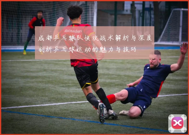 成都乒乓球队快攻战术解析与深度剖析乒乓球运动的魅力与技巧