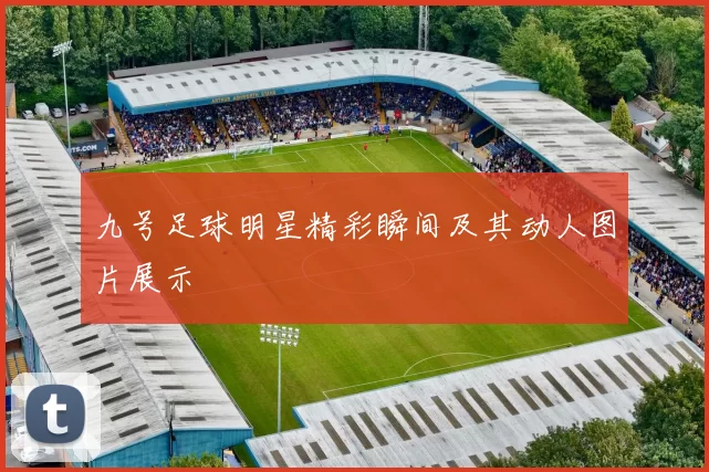 九号足球明星精彩瞬间及其动人图片展示