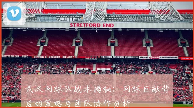 武汉网球队战术揭秘：网球巨献背后的策略与团队协作分析